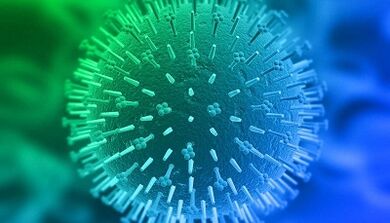 Žmogaus papilomos viruso infekcijos būdai